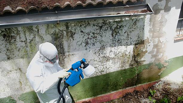 Trusted Commercial Mold Remediation service in Arlington Heights, PA - Cheap Mold Removal